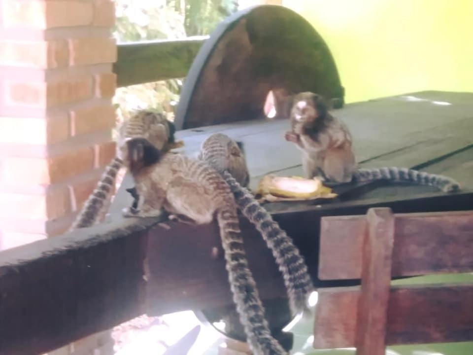 Pousada Do Sossego Conceição da Ibitipoca Exterior foto